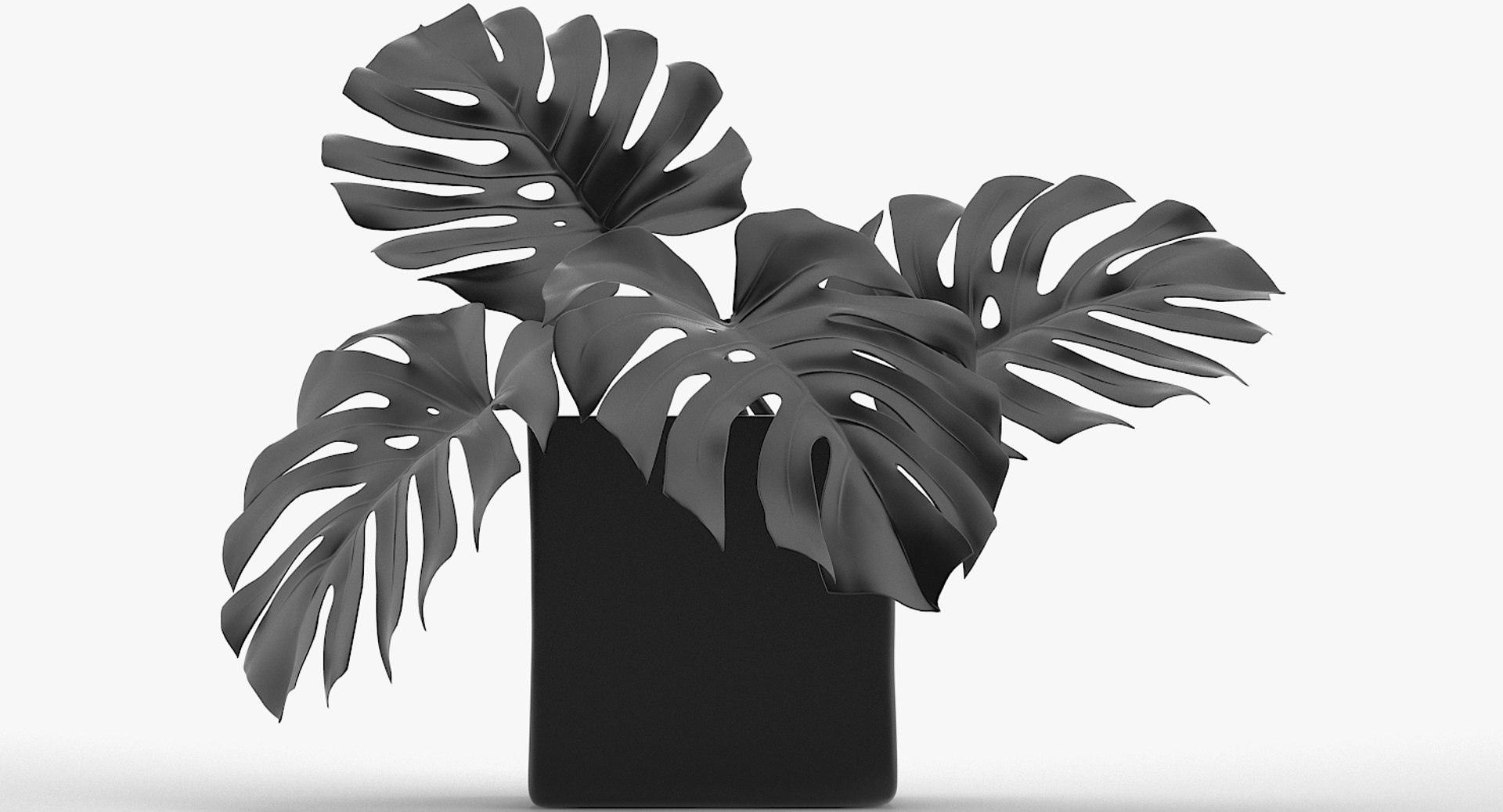 3D monstera leaves model https://p.turbosquid.com/ts-thumb/3v/cLn8Ns/W9IN6KiQ/18/jpg/1525315309/1920x1080/fit_q87/d766b0343187b7fc97b3bd93bd94772ce7694034/18.jpg