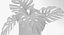 Monstera Leaves 009
