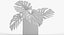 Monstera Leaves 009