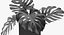 Monstera Leaves 009