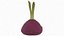 Red Beetroot