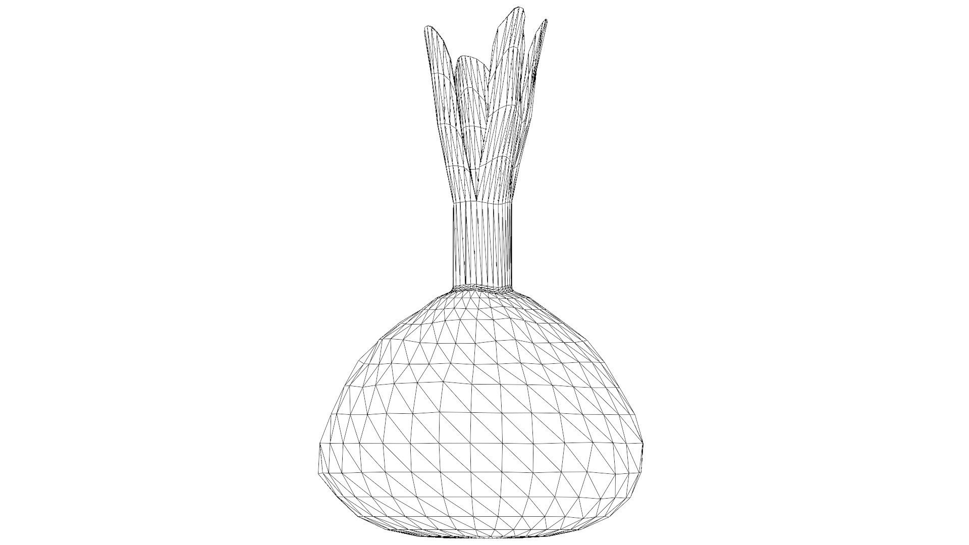 Red Beetroot model https://p.turbosquid.com/ts-thumb/3v/jw1dGC/9S/36_red_beetroot_wireframe/png/1778805721/1920x1080/fit_q87/eeead4f46f6f68477fb71f812c45804738c77085/36_red_beetroot_wireframe.jpg