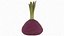 Red Beetroot