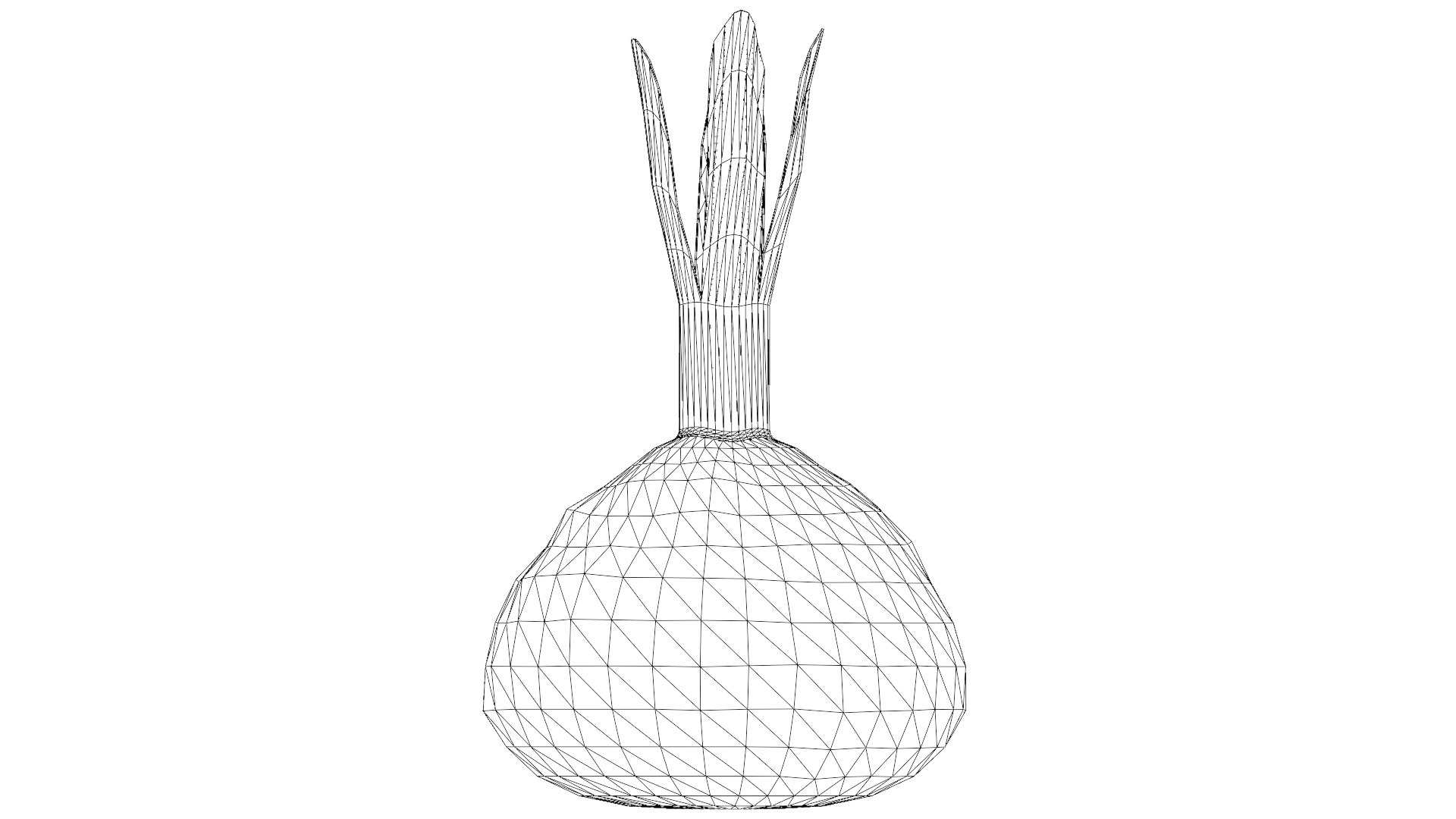 Red Beetroot model https://p.turbosquid.com/ts-thumb/3v/jw1dGC/DS/37_red_beetroot_wireframe/png/1778805721/1920x1080/fit_q87/52864ee6cf606fd34f4c4d31bda67b3f4153e8dd/37_red_beetroot_wireframe.jpg