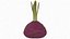 Red Beetroot