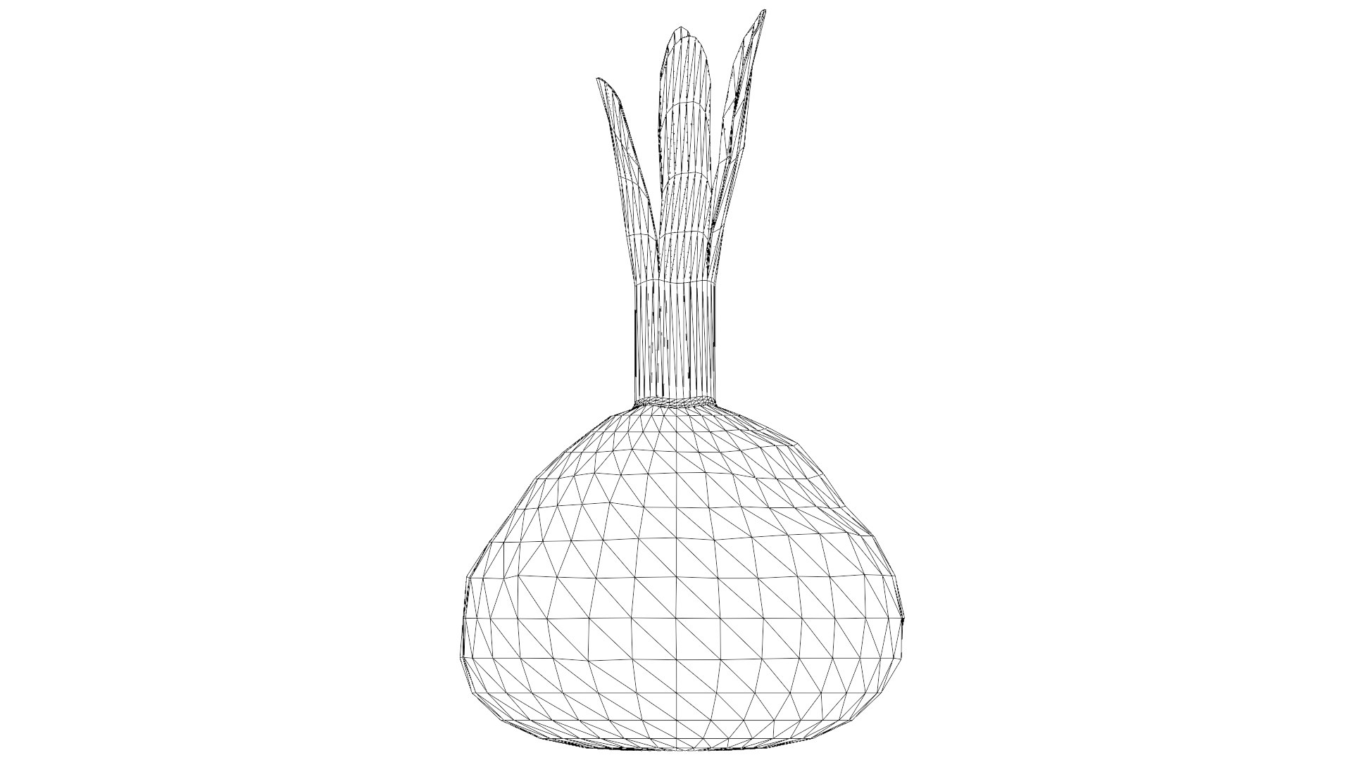 Red Beetroot model https://p.turbosquid.com/ts-thumb/3v/jw1dGC/Jl/33_red_beetroot_wireframe/png/1778805719/1920x1080/fit_q87/012cf244e52672debce09884b343f88a7e8a6e64/33_red_beetroot_wireframe.jpg