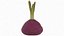 Red Beetroot