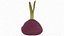 Red Beetroot