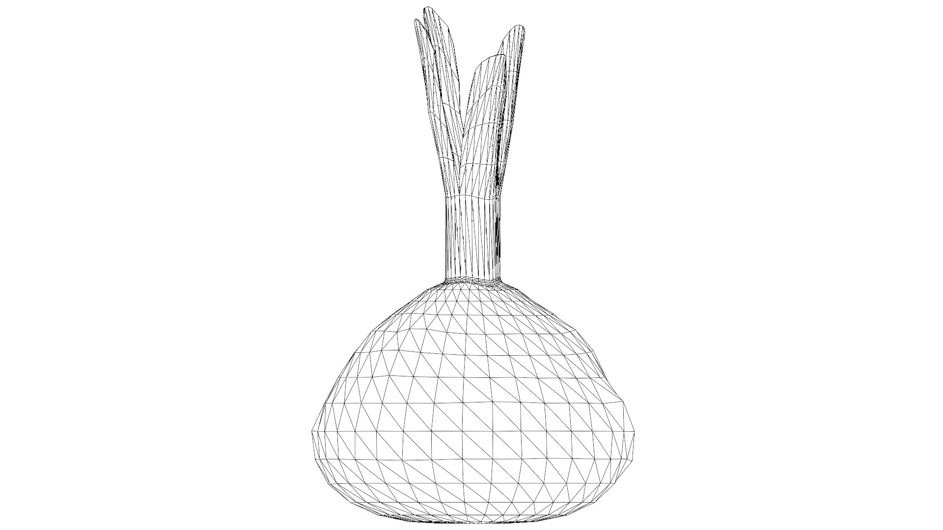 Red Beetroot model https://p.turbosquid.com/ts-thumb/3v/jw1dGC/X4/43_red_beetroot_wireframe/png/1778805726/1920x1080/fit_q87/7bdb120072e1c0e1f755f3dc9385f2ca90b38432/43_red_beetroot_wireframe.jpg