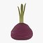 Red Beetroot