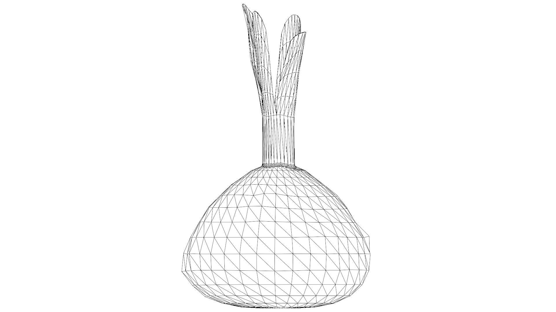 Red Beetroot model https://p.turbosquid.com/ts-thumb/3v/jw1dGC/gZ/42_red_beetroot_wireframe/png/1778805726/1920x1080/fit_q87/d77ec2b47c7a984034c9dc5416f0f3718f742779/42_red_beetroot_wireframe.jpg