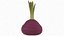 Red Beetroot