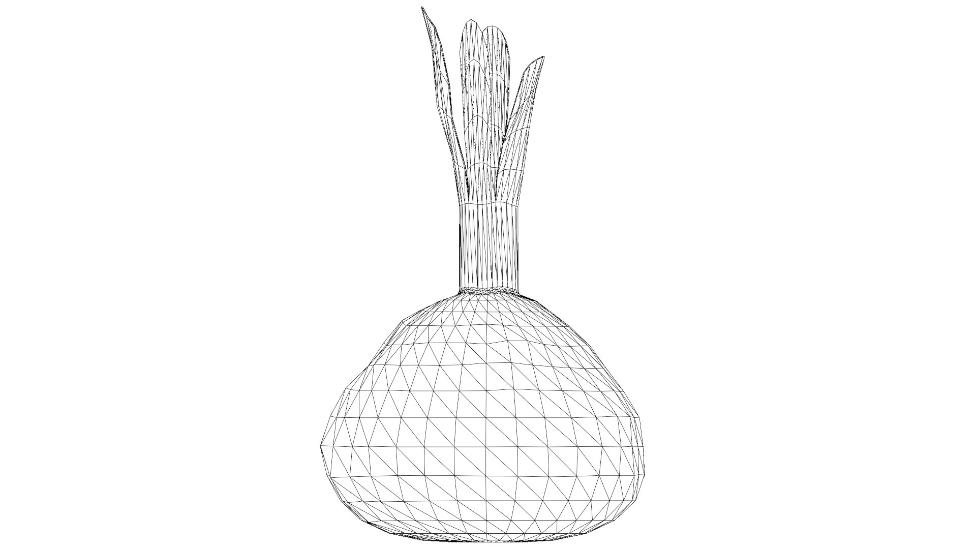Red Beetroot model https://p.turbosquid.com/ts-thumb/3v/jw1dGC/jk/41_red_beetroot_wireframe/png/1778805724/1920x1080/fit_q87/ddbdc4b4543e39de23d494d6f891e4f114499c4e/41_red_beetroot_wireframe.jpg