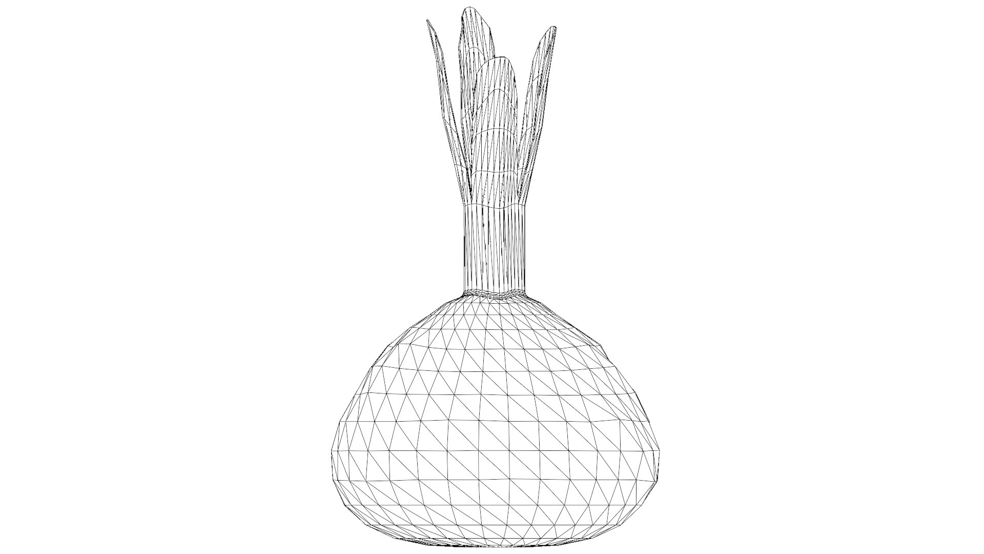 Red Beetroot model https://p.turbosquid.com/ts-thumb/3v/jw1dGC/k4/44_red_beetroot_wireframe/png/1778805726/1920x1080/fit_q87/d9ccf56b4fc1132999297ffafae8c4f319d647b9/44_red_beetroot_wireframe.jpg
