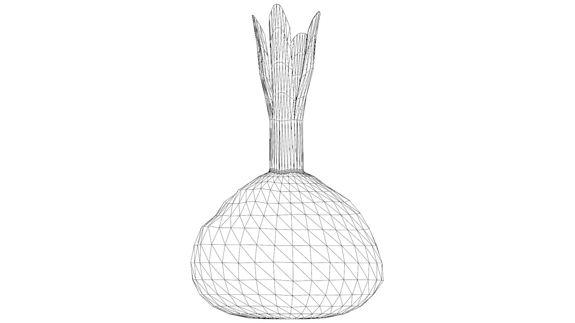 Red Beetroot model https://p.turbosquid.com/ts-thumb/3v/jw1dGC/op/38_red_beetroot_wireframe/png/1778805722/1920x1080/fit_q87/cefec38b845e8120aaaecd215d743b8effb3e463/38_red_beetroot_wireframe.jpg