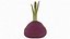 Red Beetroot