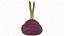 Red Beetroot