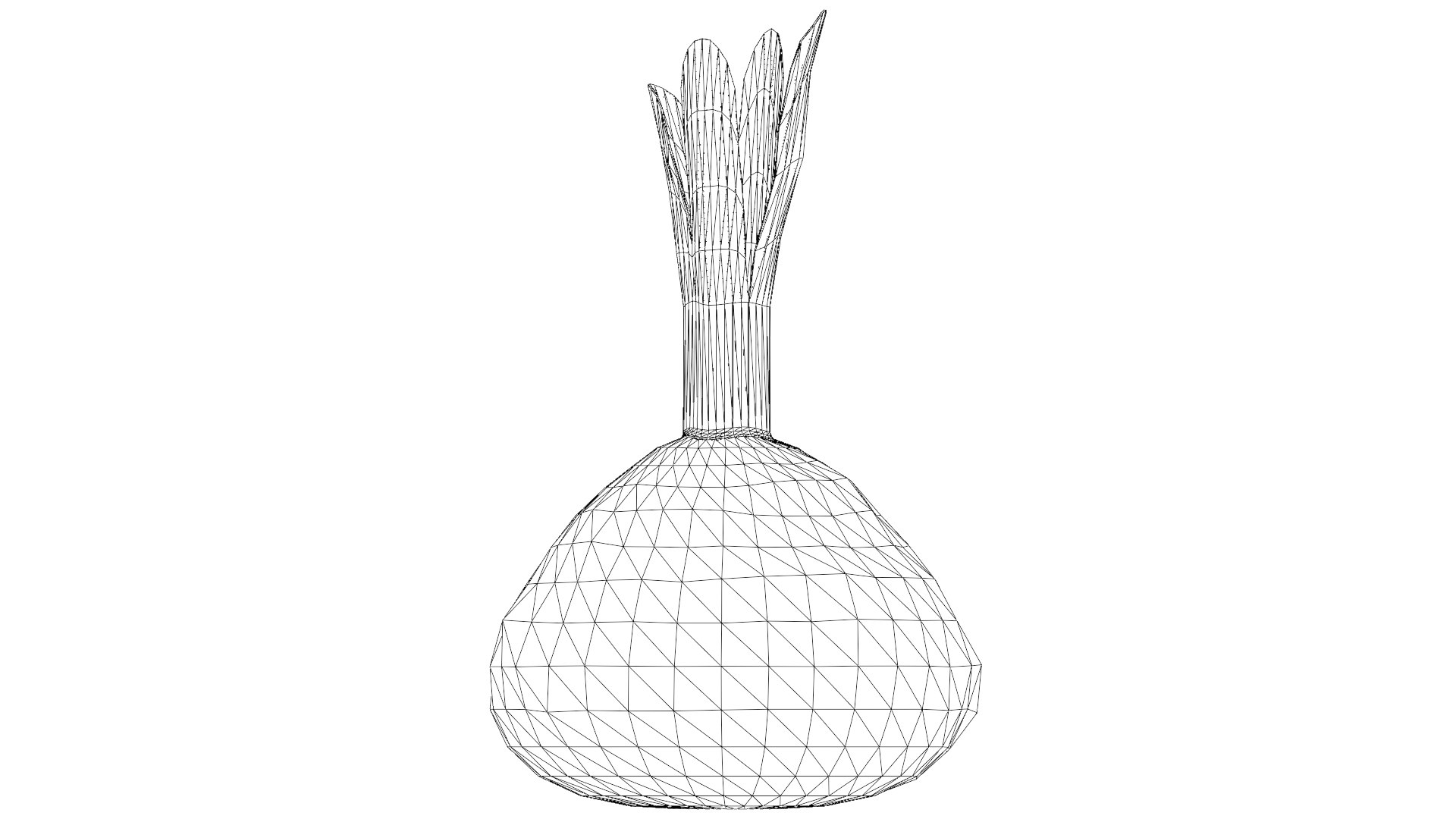 Red Beetroot model https://p.turbosquid.com/ts-thumb/3v/jw1dGC/se/34_red_beetroot_wireframe/png/1778805719/1920x1080/fit_q87/024ce77fd8754d7f6afd2d557e94c5a2a67b9952/34_red_beetroot_wireframe.jpg