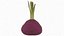 Red Beetroot