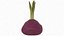 Red Beetroot