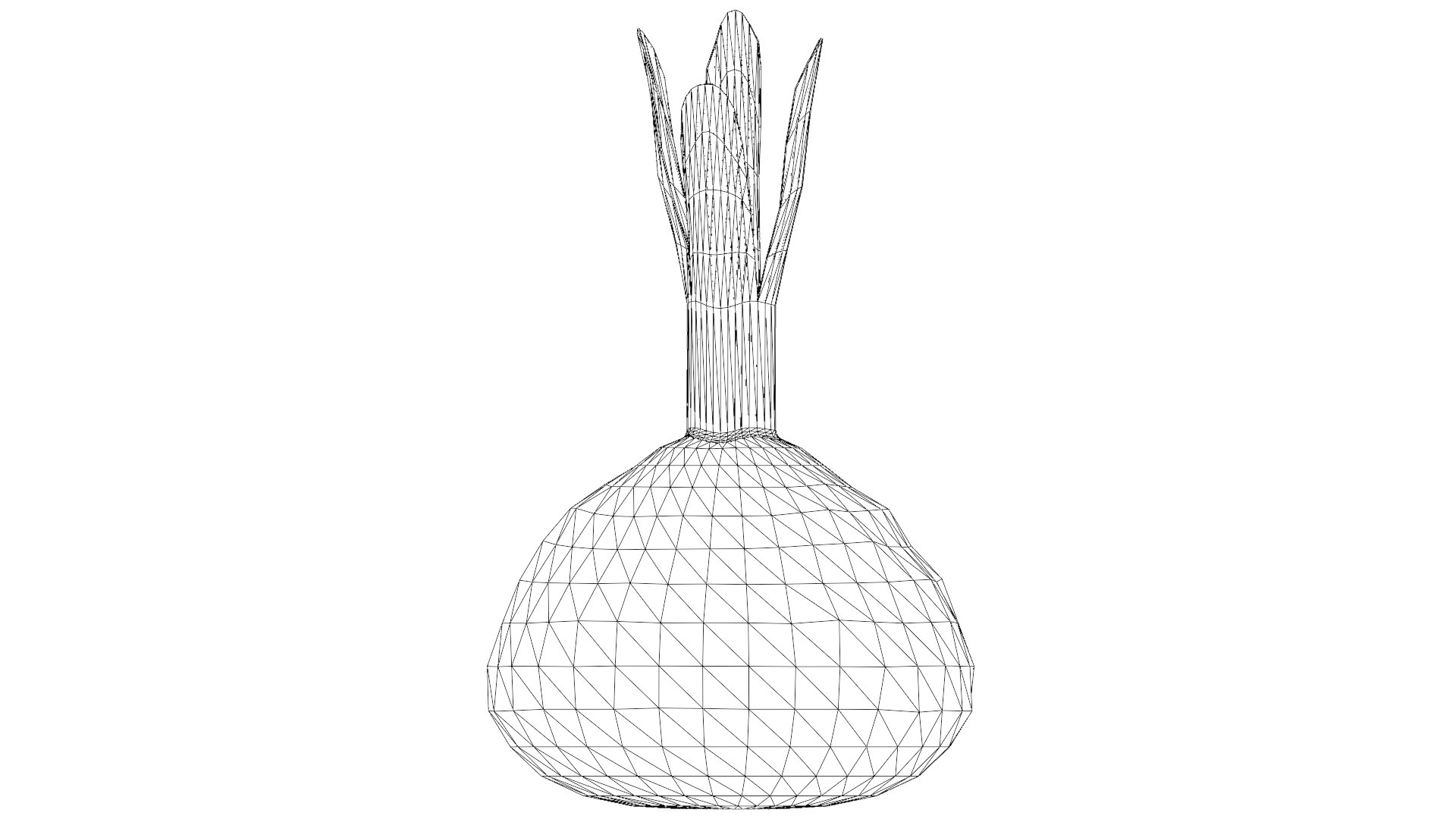 Red Beetroot model https://p.turbosquid.com/ts-thumb/3v/jw1dGC/vy/45_red_beetroot_wireframe/png/1778805727/1920x1080/fit_q87/e45dd0925bcfa52cb6163992080558f49d00e0ba/45_red_beetroot_wireframe.jpg