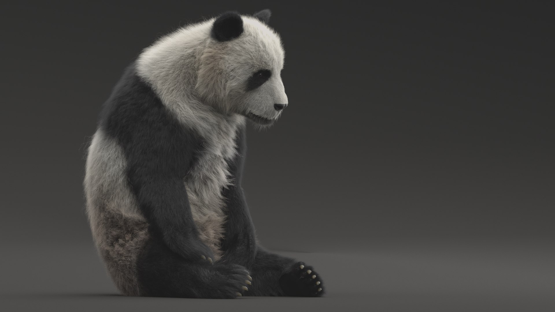 Urso panda dos desenhos animados Modelo 3D - TurboSquid 1485245