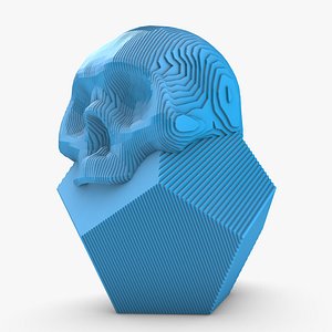 3D Sliced Skull Polyhedron 02 model