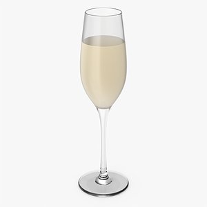 Filled Champagne Glass 3D