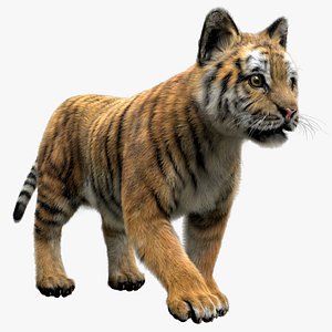 tiger fur baby 3D model
