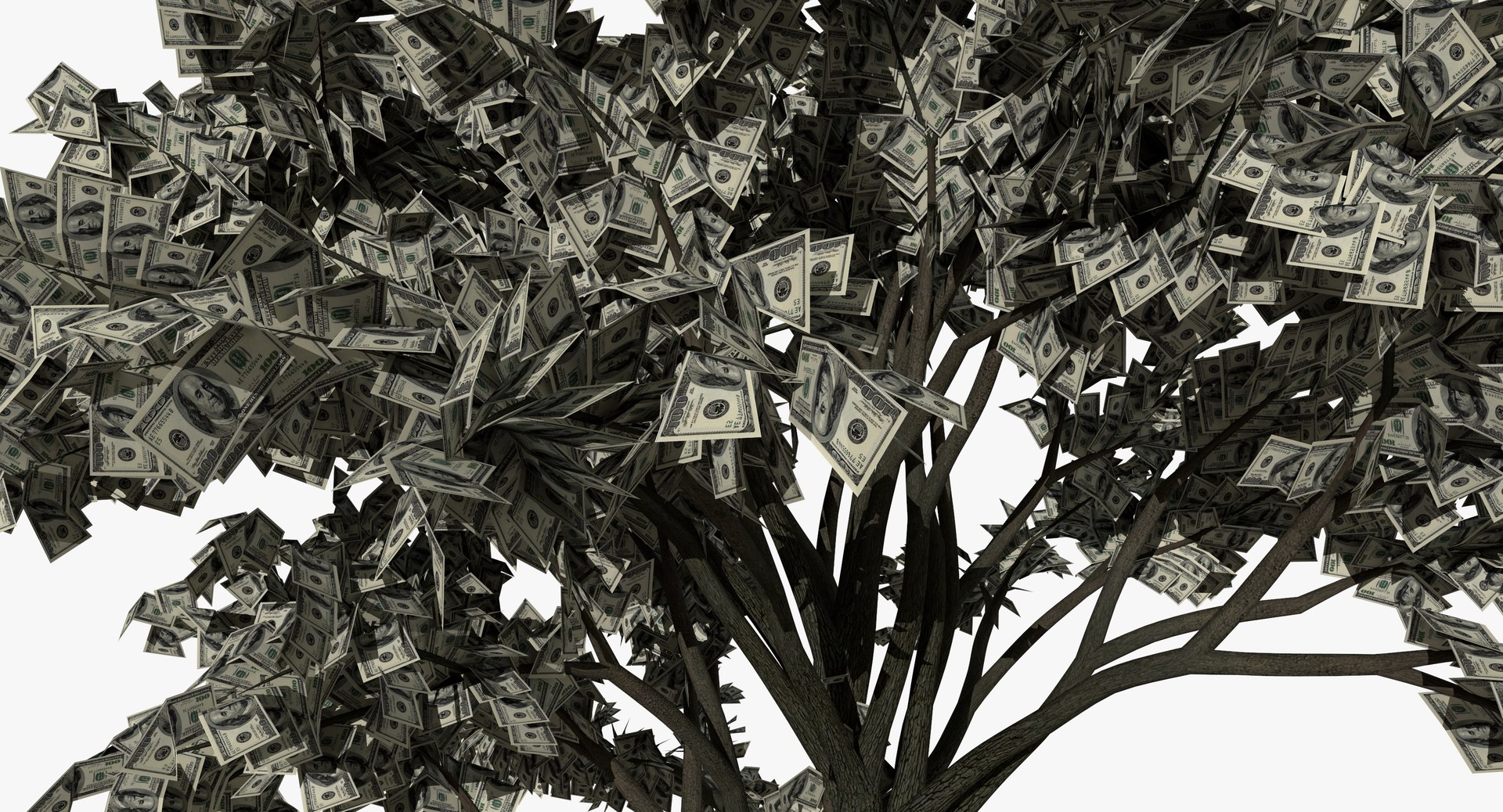 3D Model Money Tree - TurboSquid 1219325