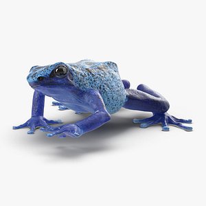 poison dart frog rigged 3d max