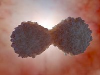 cancer cell division 3d