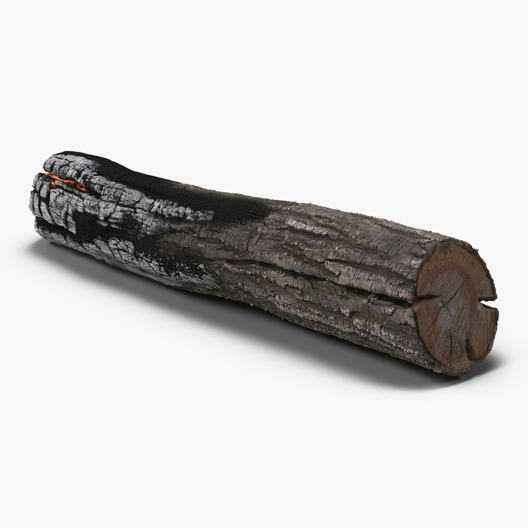 Charred Log 3D model preview