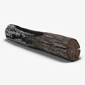 Charred Log