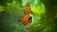 Forest and Night Kitsune