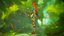 Forest and Night Kitsune