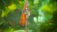 Forest and Night Kitsune