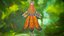 Forest and Night Kitsune