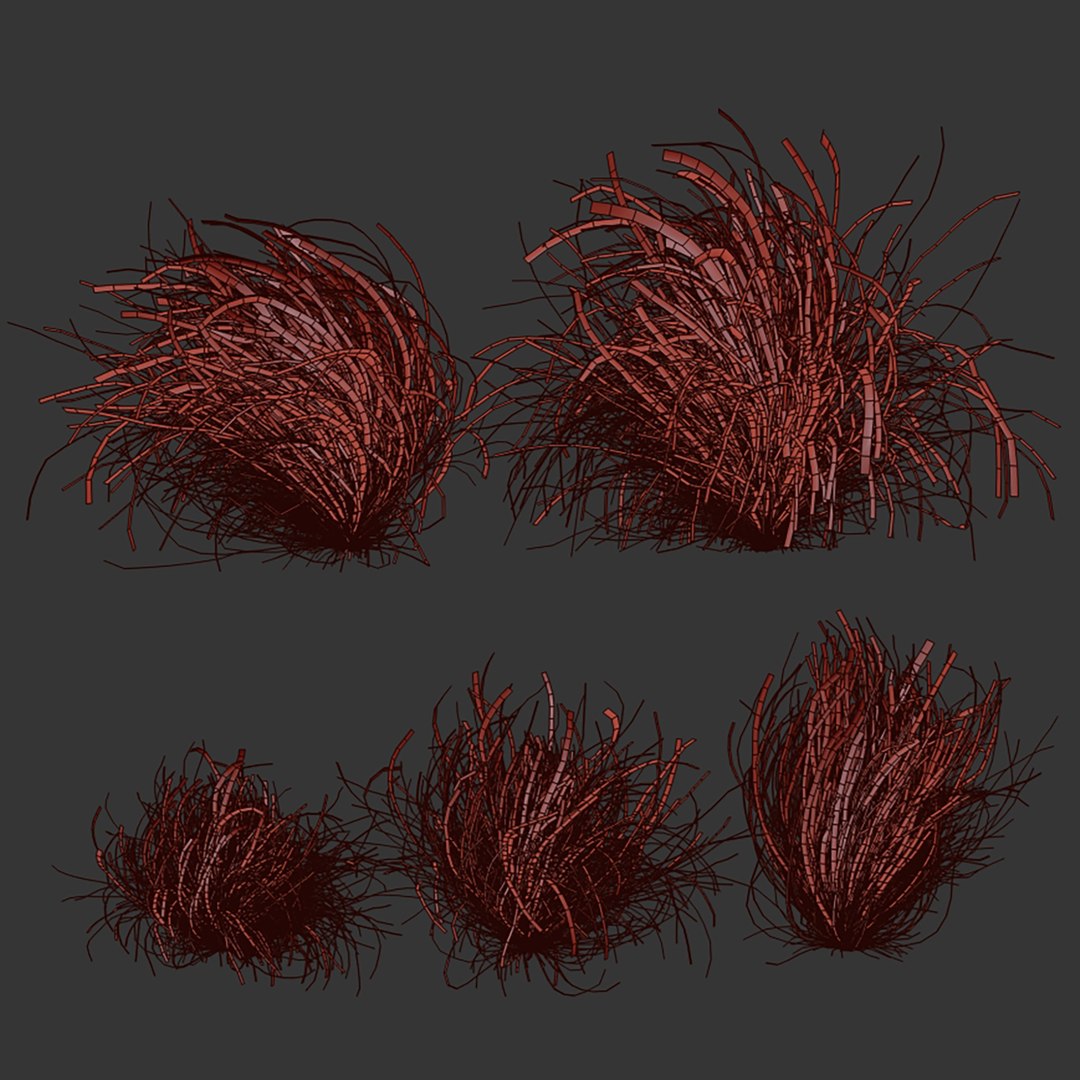 3D plant vol 1005 - Cymbopogon - Citratus - West - Indian - Lemon - Grass model https://p.turbosquid.com/ts-thumb/3w/VJxYLP/YZ/6/jpg/1788356881/1920x1080/fit_q87/d832097c8c3161ed0f12f2f861da9034af30efc5/6.jpg