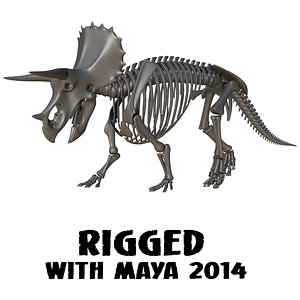 ma triceratops skeleton rigged
