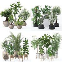 20 Photorealistic Flowers for Interiors - set 126 131 133 141