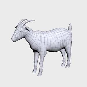 3D goat base