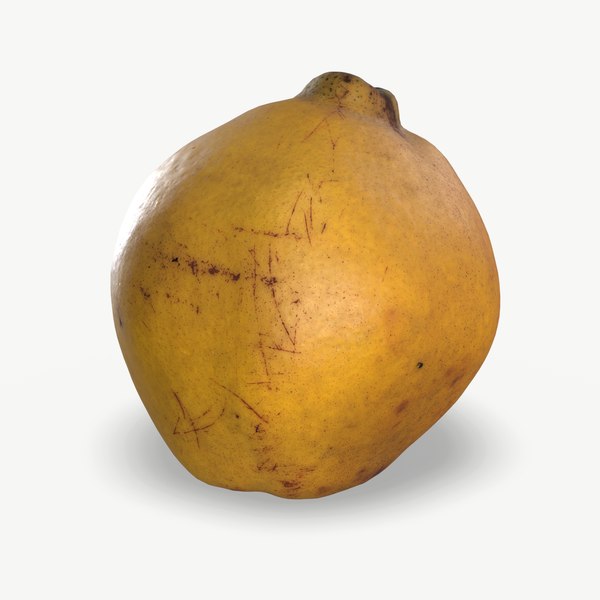 Quince 3D Models for Download | TurboSquid