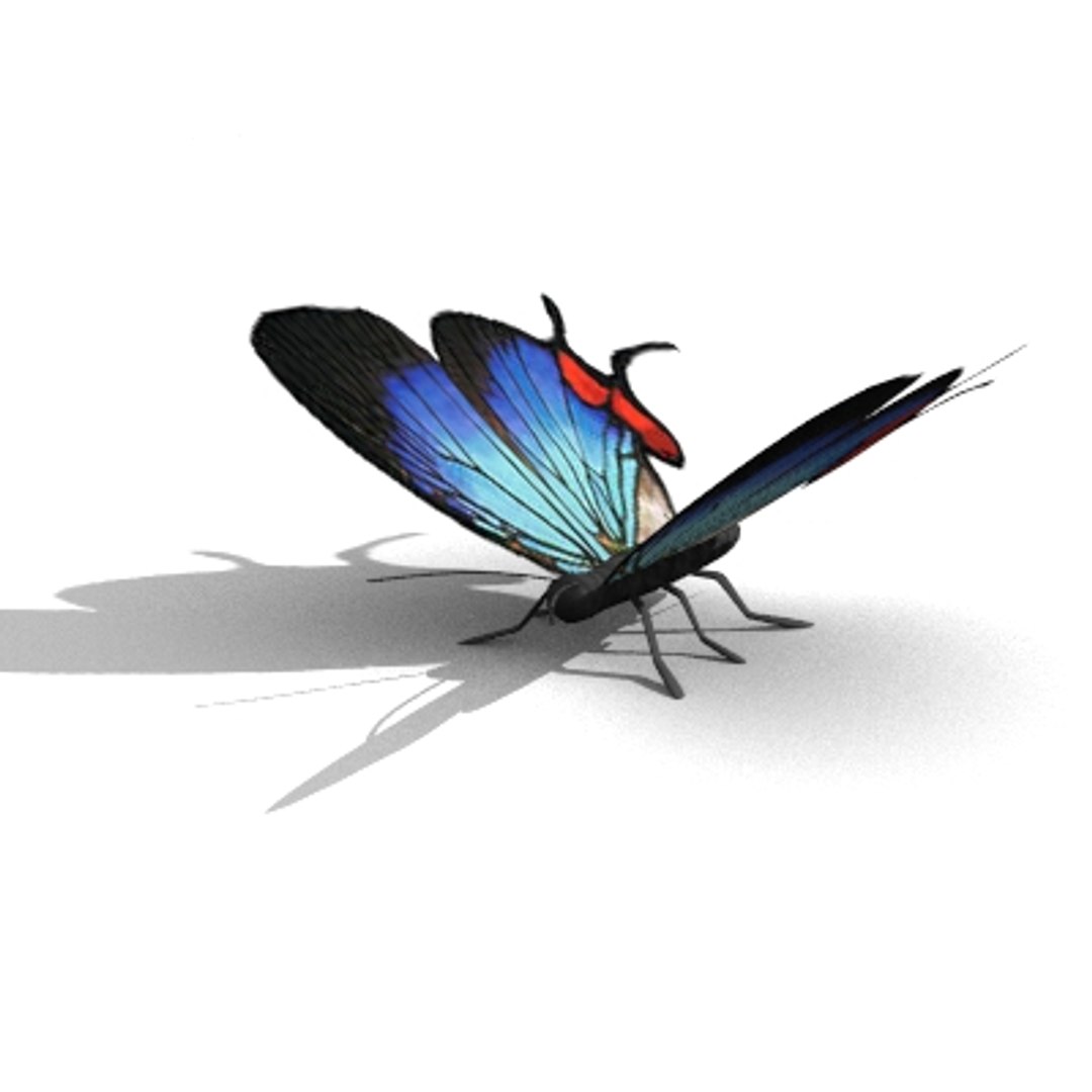 Butterfly 3d Obj