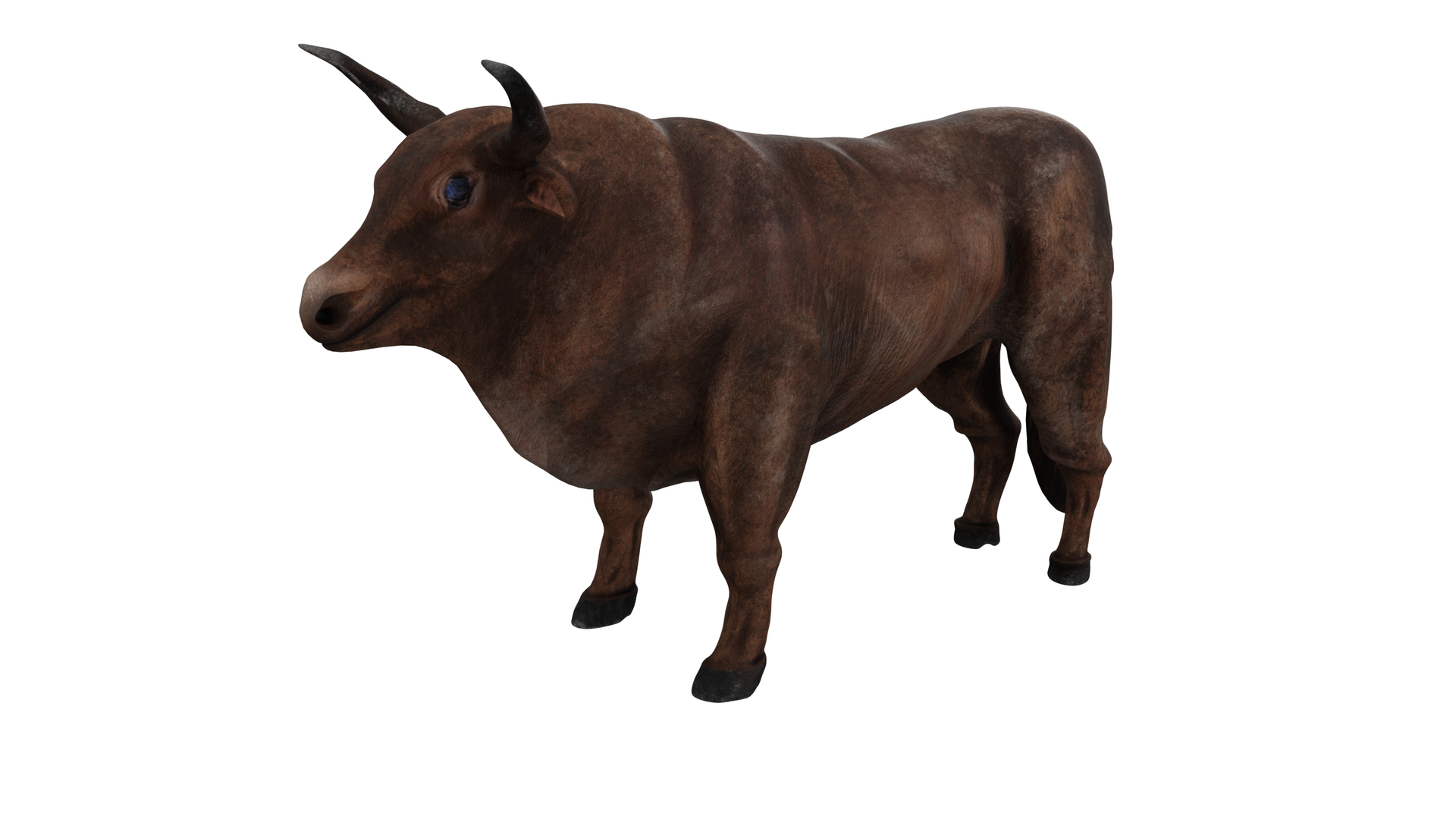 황소 3D 모델 - TurboSquid 1714680