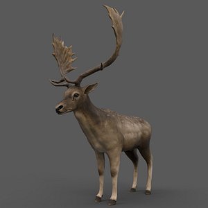 red deer stag 3d 3ds