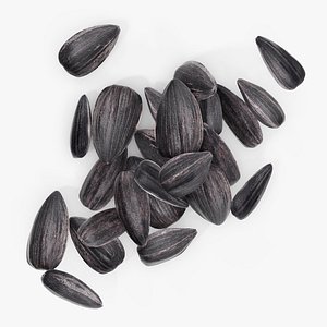 seed sunflower 3D model