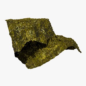 Hill Grass Landscape Terrain model