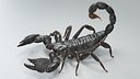 Black Emperor Scorpion Rigged Xgen