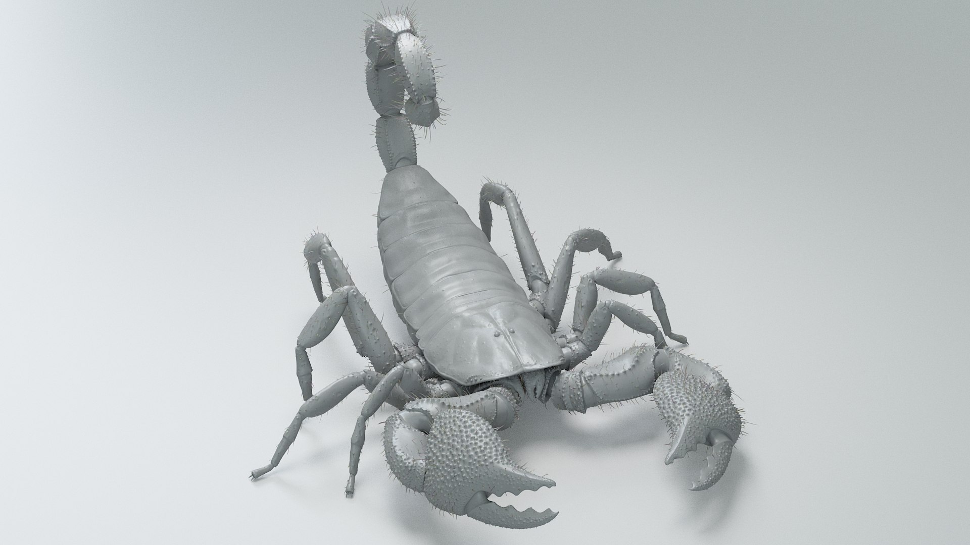 Black Emperor Scorpion Rigged 3D model https://p.turbosquid.com/ts-thumb/3x/NK1EXU/Qj/black_emperor_rigged_18/jpg/1708416743/1920x1080/fit_q87/9fd451e299e97ada684c627f2d53bafff9282135/black_emperor_rigged_18.jpg